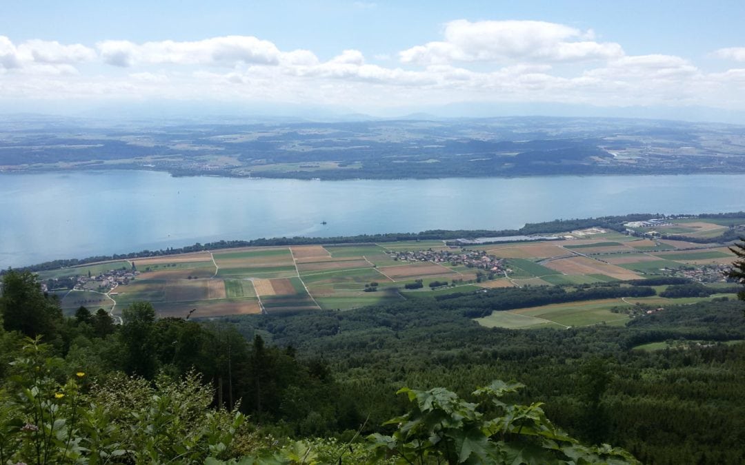 Balade dans le Jura (30.08.2020)